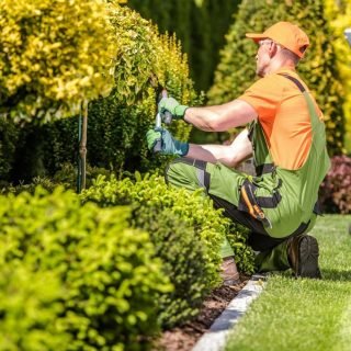 garden-maintenance-dublin-1024x1024